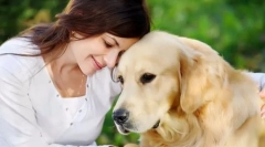 Jakie rasy psów pasują do różnych znaków zodiaku