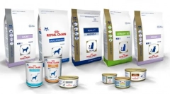 Jaki pasja jest lepsza: proplan lub królewski kanin?