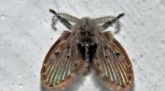 Mierki do kanalizacji w łazience i toalecie