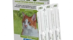 Krople na barach withers - kompleksowa ochrona kota z ektoparasitów