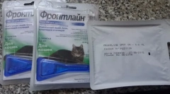 Krople z pcheł i kleszcze na kotach