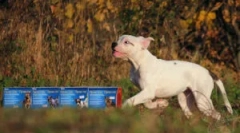 Krople praktyki: instrukcje użytkowania