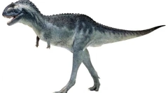 Carnotaur