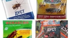 Chińskie narzędzia z karaluchów