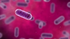 Klatka - jednostka genetyczna życia