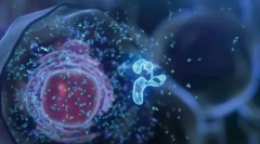 Komórka - podstawa życia