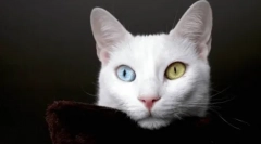 Kiedy i dlaczego zmieni się kolor oka