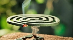 Komary na działce ogrodowej i w ogrodzie