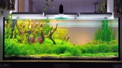 Sprężarka do akwarium z własnymi rękami: instrukcje produkcji krok po kroku