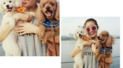 Koreańskie pseudonimy dla psów: ciekawe opcje ze znaczeniem