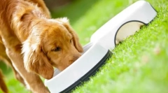 Purina pro plan feed dog: klasa premium gotowa