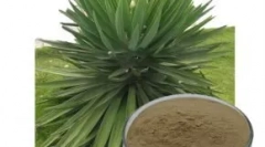 Feed wahre liebe - niemiecka jakość w super premium i holistic