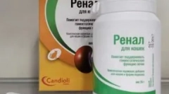 Dodatek paszowy nerki edvande: skuteczna pomoc w niewydolności nerek w kotach