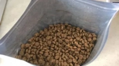 Kot odmawia suchego paszy