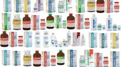 Okładki dla kotów: zalecenia dotyczące aplikacji