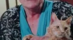 La perm: cechy kręconych kotów