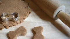 Parehomy dla psów (5 przepisów dla każdego gustu)