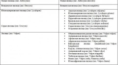 Fox - opis, gatunki, w których mieszkają