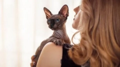 Cutie lub solone: jak wygląd kota do określenia postaci