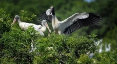 Świat zwierząt na zdjęciach (18 sztuk)