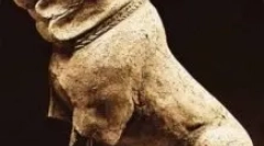 Molossa - przegląd: przegląd rasy psa