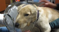 Najczęstsze wypadki