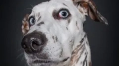 Remedies ludowe z domu