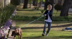 Ciągnięcie i smycz szarpnięcie