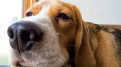 Choroby neurologiczne