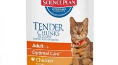 Trener przegląd cat food