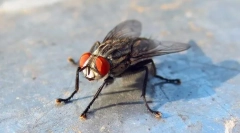 Są sypialnie niebezpieczne?