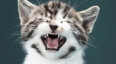 Dolna dolna warga w cota: przyczyny i metody leczenia