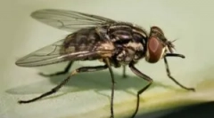 Jesień latać wioski