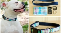 Kołnierz pies z własnymi rękami: prosta instrukcja