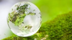 Podstawowe koncepcje ekosystemu