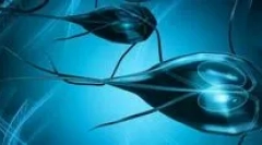 Głównymi objawami lambiozy