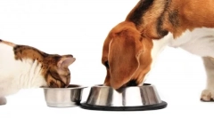 Cechy klasy holistic