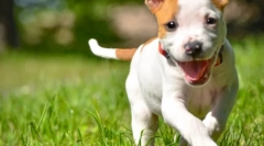 Wakacje w przyrodzie i bez kleszczy