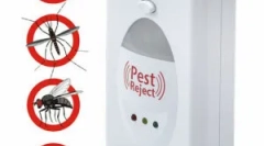 Clebop discretereners: gatunki i popularne modele