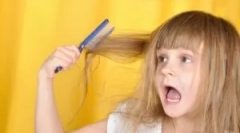 Pediculza u dzieci: jak przynieść wszy i knnę