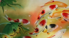 Pierwsze akwaria. Historia akwaries