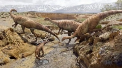 Pierwsze dinozaurów