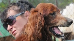 Ojciec z reklamy chappi: co stało się z legendarnym psem