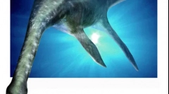 Plesiosaur