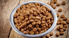 Plusy i minusy suchego paszy