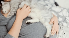 Dlaczego kot spada na człowieka?