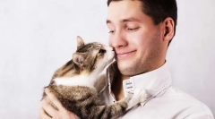 Dlaczego koty lubią zapach potu?