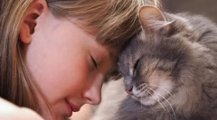 Dlaczego koty przeszkadzają?