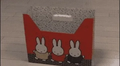 Dlaczego koty kochają pudełka?