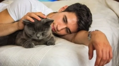 Dlaczego koty zawsze zajmują gospodarza